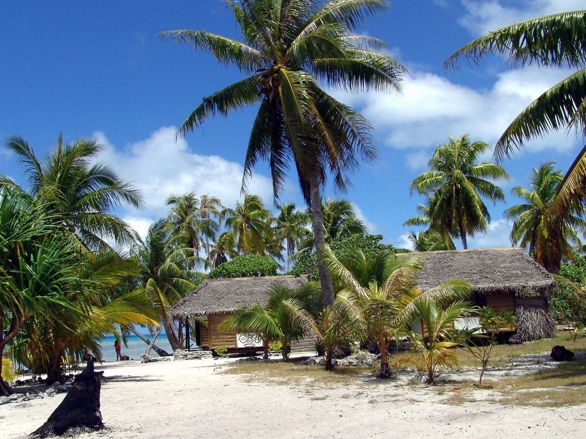 Обои солнце, пляж, пальмы, бунгало, французская полинезия, the sun, beach, palm trees, bungalow, french polynesia разрешение 1920x1080 Загрузить