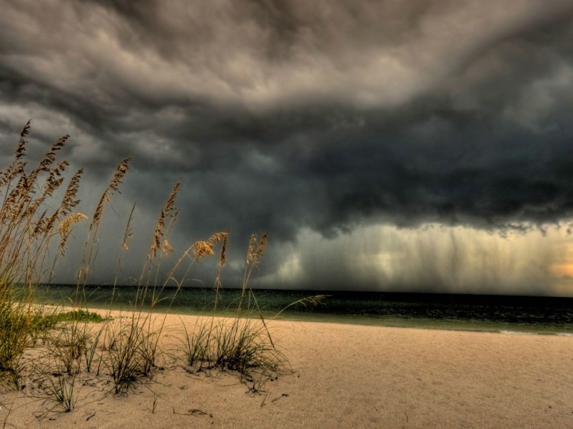 Обои небо, трава, берег, тучи, море, песок, пляж, колоски, the sky, grass, shore, clouds, sea, sand, beach, spikelets разрешение 1920x1080 Загрузить