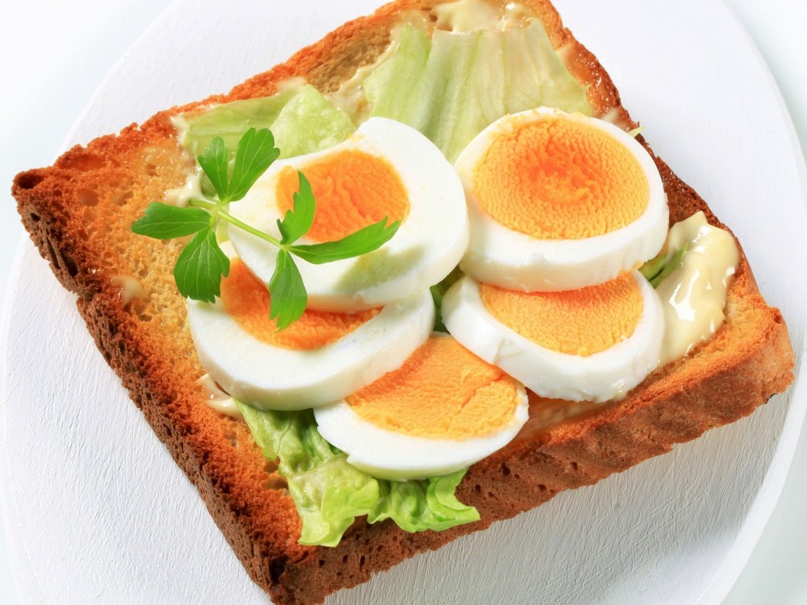 Обои бутерброд, хлеб, яйцо, петрушка, тост, sandwich, bread, egg, parsley, toast разрешение 1920x1200 Загрузить