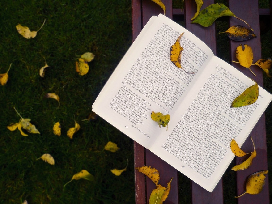 Обои трава, листья, осень, скамейка, листопад, книга, grass, leaves, autumn, bench, falling leaves, book разрешение 1920x1200 Загрузить