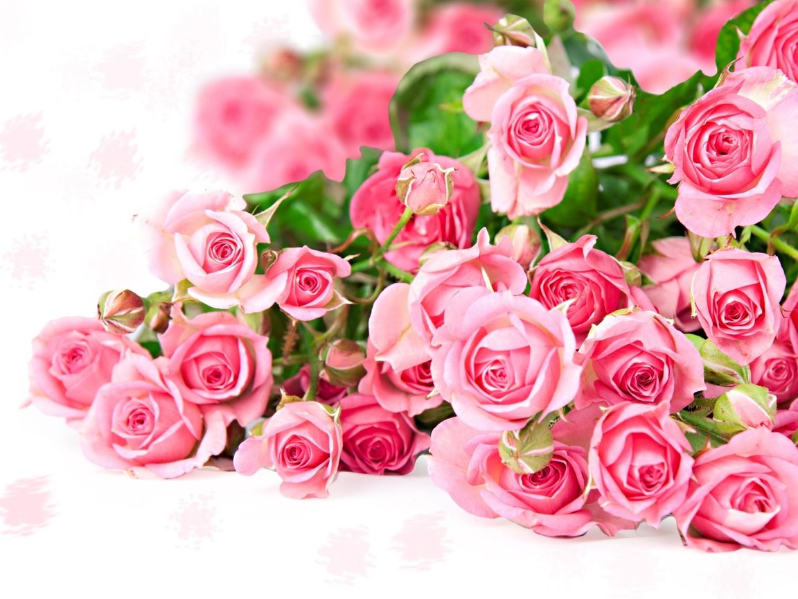 Обои цветы, розы, букет, розовый, бкет роз, flowers, roses, bouquet, pink, bcet roses разрешение 2560x1600 Загрузить