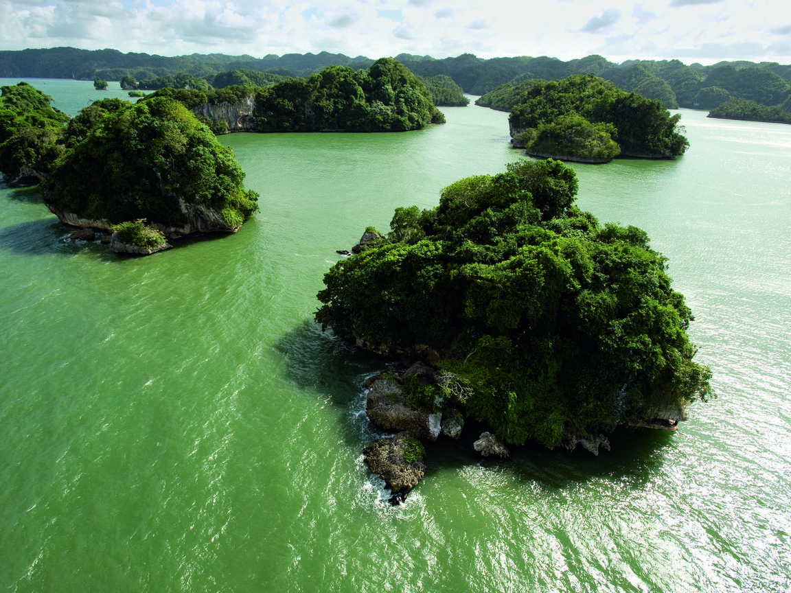 Обои вода, зелень, суша, острова, материк, water, greens, drying, islands, mainland разрешение 2560x1600 Загрузить