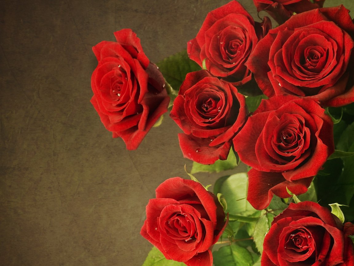 Обои розы, красные, букет, roses, red, bouquet разрешение 1920x1080 Загрузить