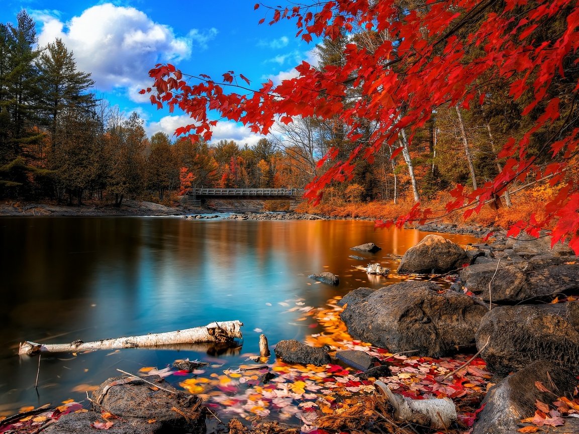 Обои небо, облака, деревья, река, камни, листья, мост, осень, the sky, clouds, trees, river, stones, leaves, bridge, autumn разрешение 2560x1600 Загрузить