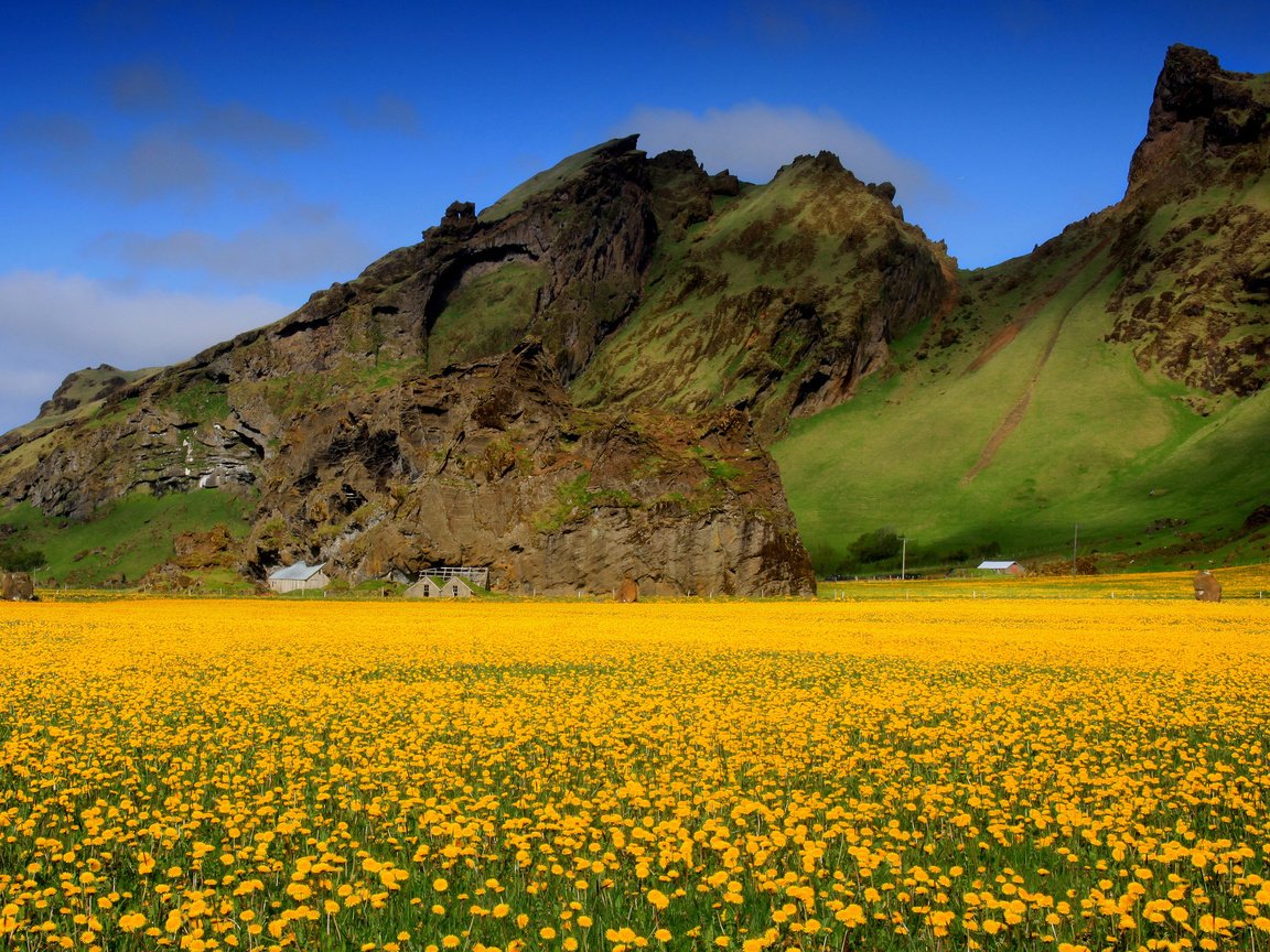 Обои небо, цветы, горы, поле, весна, одуванчики, долина, желтые, the sky, flowers, mountains, field, spring, dandelions, valley, yellow разрешение 2048x1388 Загрузить