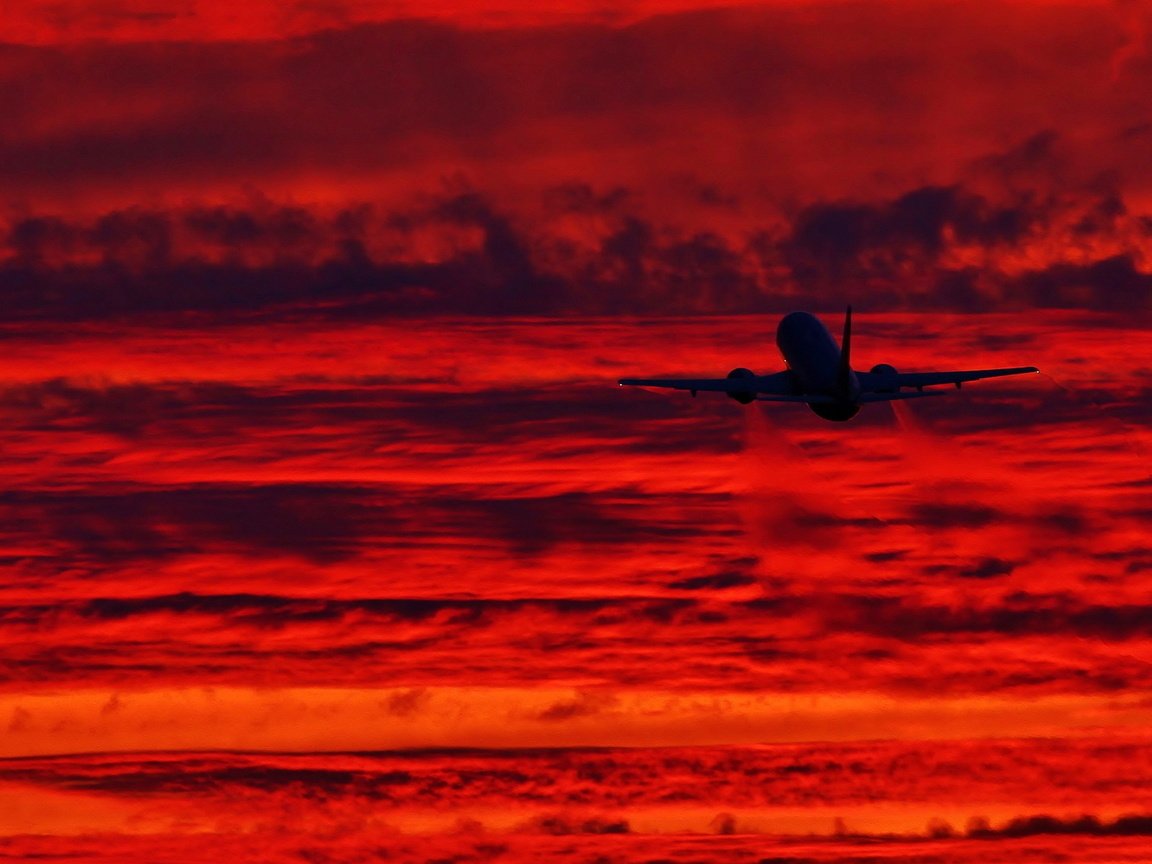 Обои небо, ночь, закат, самолет, the sky, night, sunset, the plane разрешение 2560x1600 Загрузить