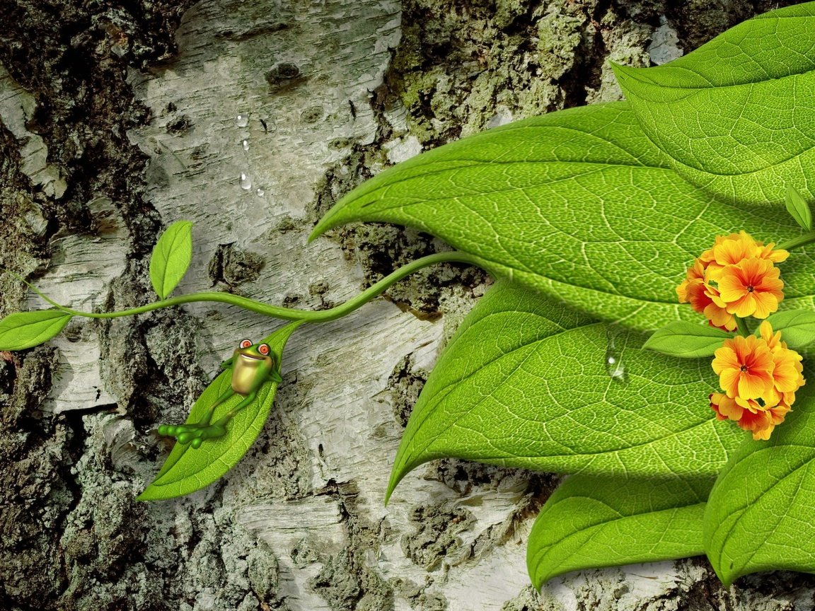 Обои цветы, дерево, листья, капли, лягушка, кора, 3d-графика, flowers, tree, leaves, drops, frog, bark, 3d graphics разрешение 2560x1600 Загрузить