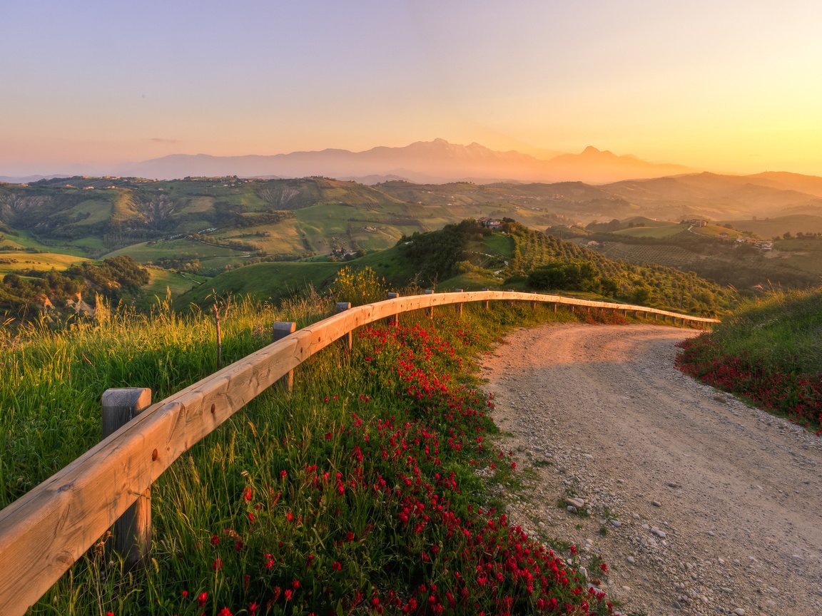 Обои дорога, цветы, трава, холмы, природа, закат, италия, road, flowers, grass, hills, nature, sunset, italy разрешение 2560x1600 Загрузить