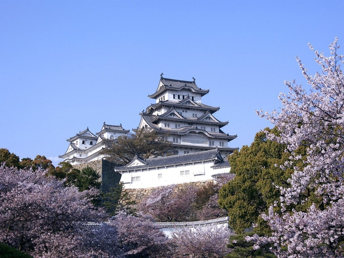 Обои замок, япония, сакура, castle, japan, sakura разрешение 1920x1200 Загрузить