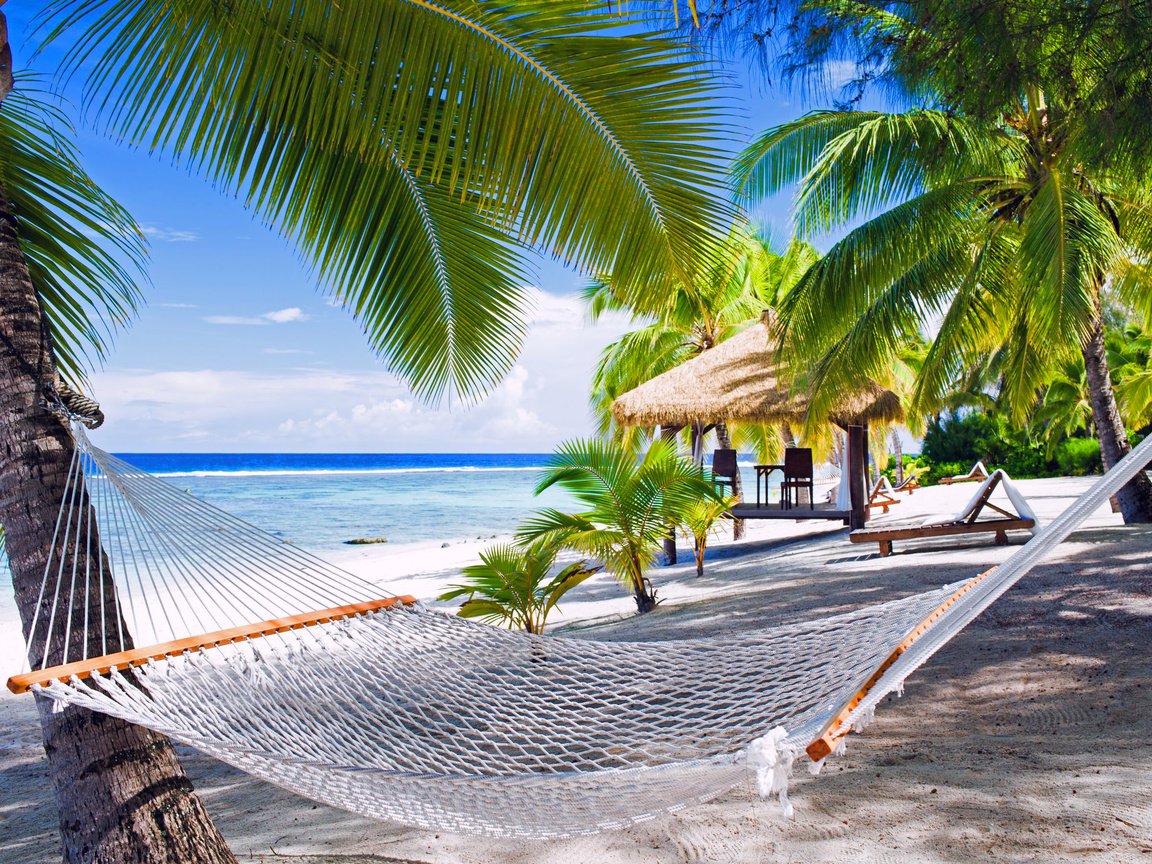 Обои пляж, гамак, тропики, мальдивы, beach, hammock, tropics, the maldives разрешение 2668x1779 Загрузить