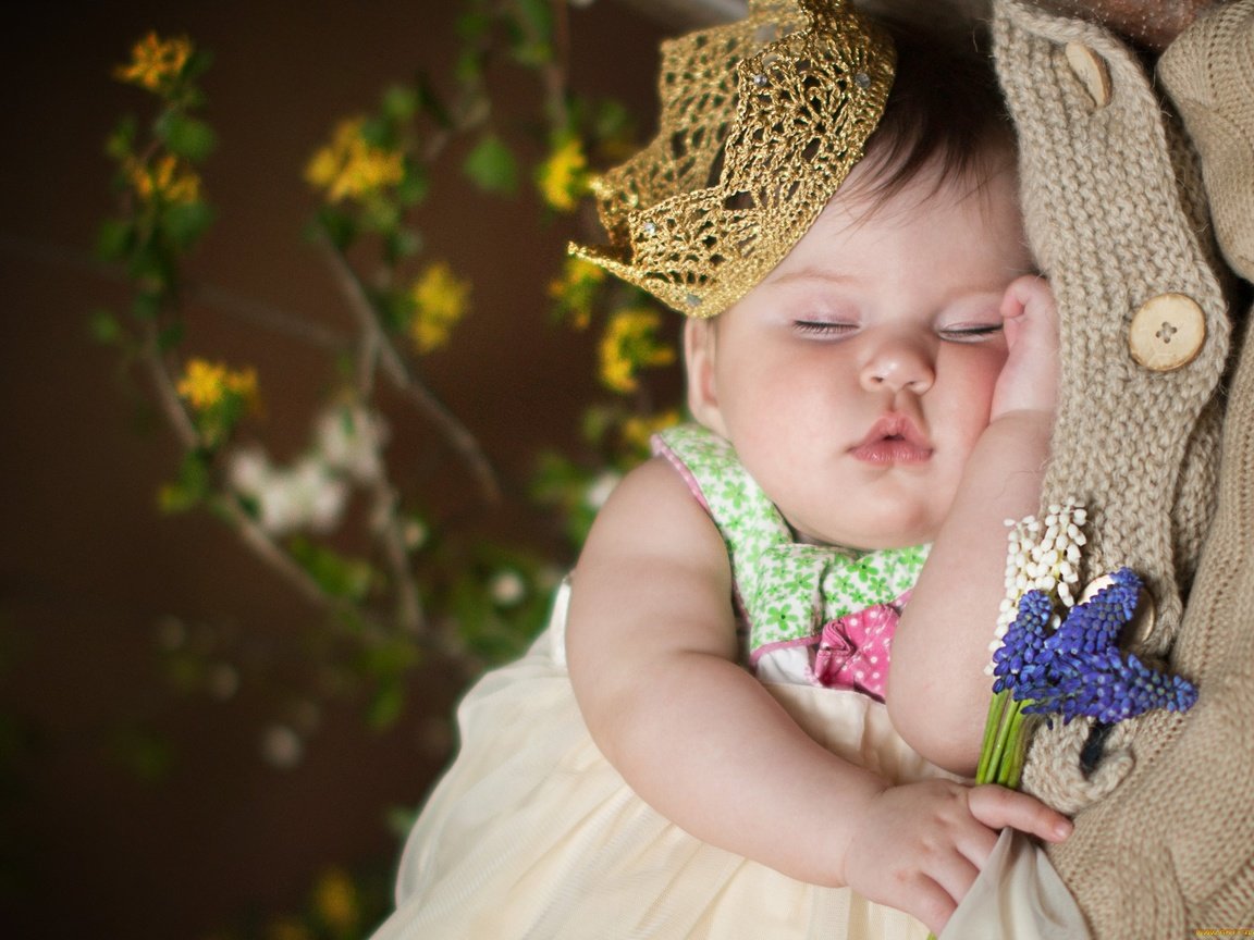 Обои цветы, сон, девочка, ребенок, младенец, корона, flowers, sleep, girl, child, baby, crown разрешение 2250x1612 Загрузить