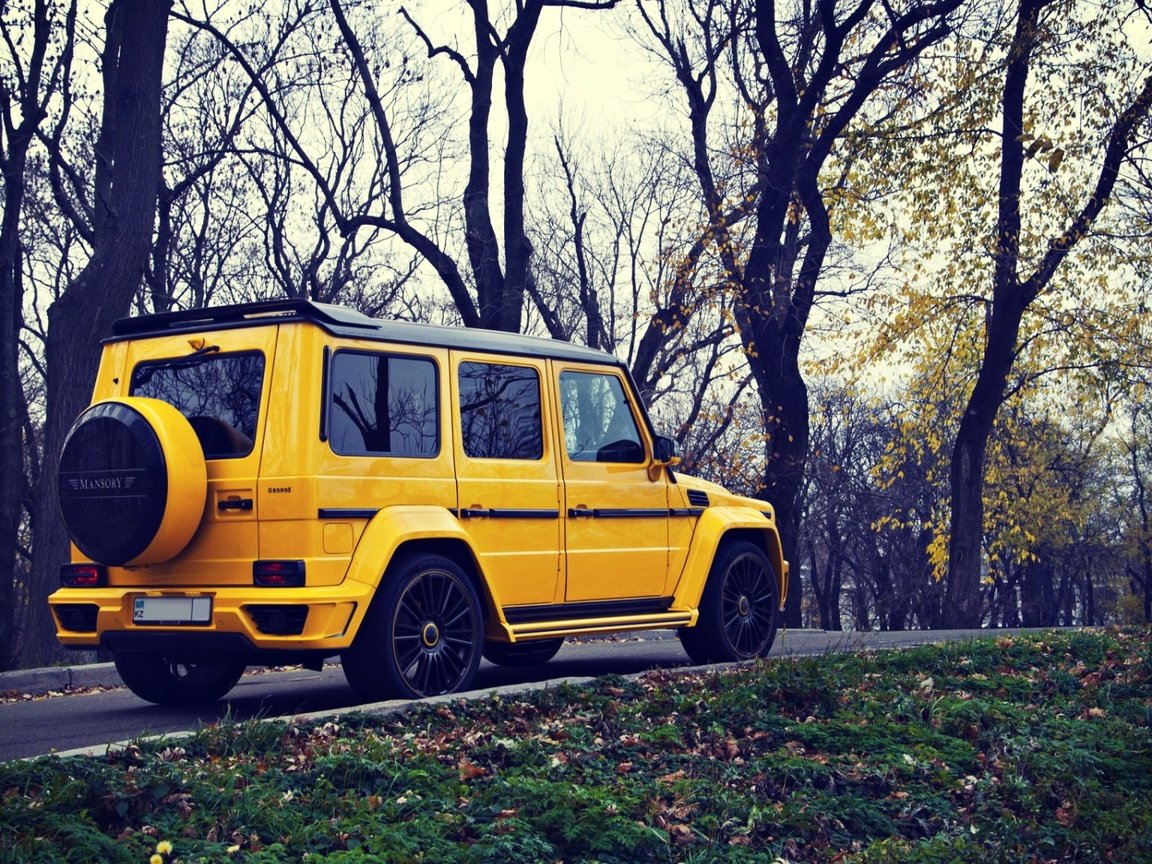 Обои желтый, осень, внедорожник, мерседес, мерседес бенц, g63, mansory gronos, yellow, autumn, suv, mercedes, mercedes benz разрешение 1920x1080 Загрузить