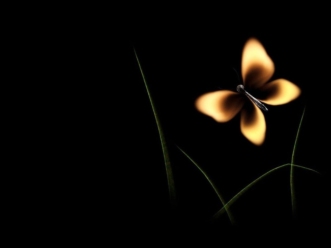 Обои бабочка, огонь, минимализм, черный фон, спичка, butterfly, fire, minimalism, black background, match разрешение 1920x1080 Загрузить