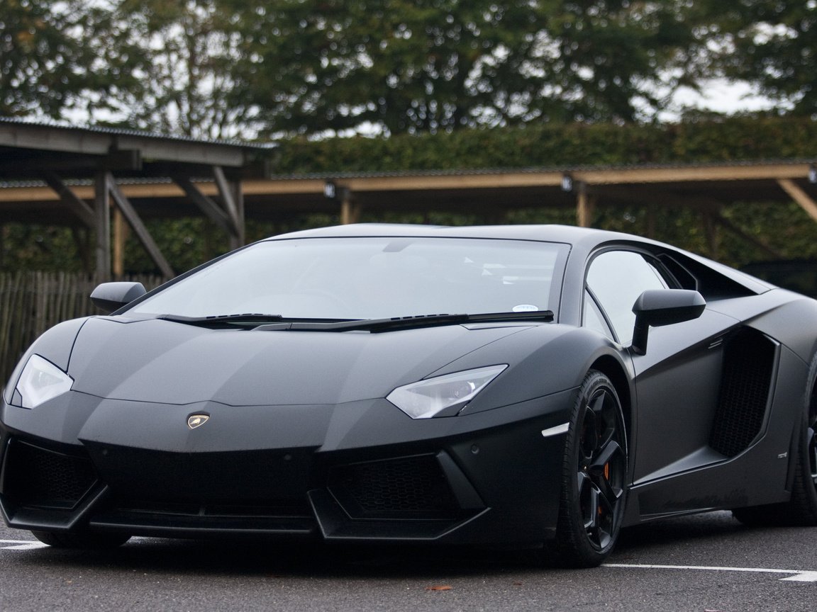 Обои черный, блака, ламборгини, авентадор, black, lamborghini, aventador разрешение 3567x2313 Загрузить