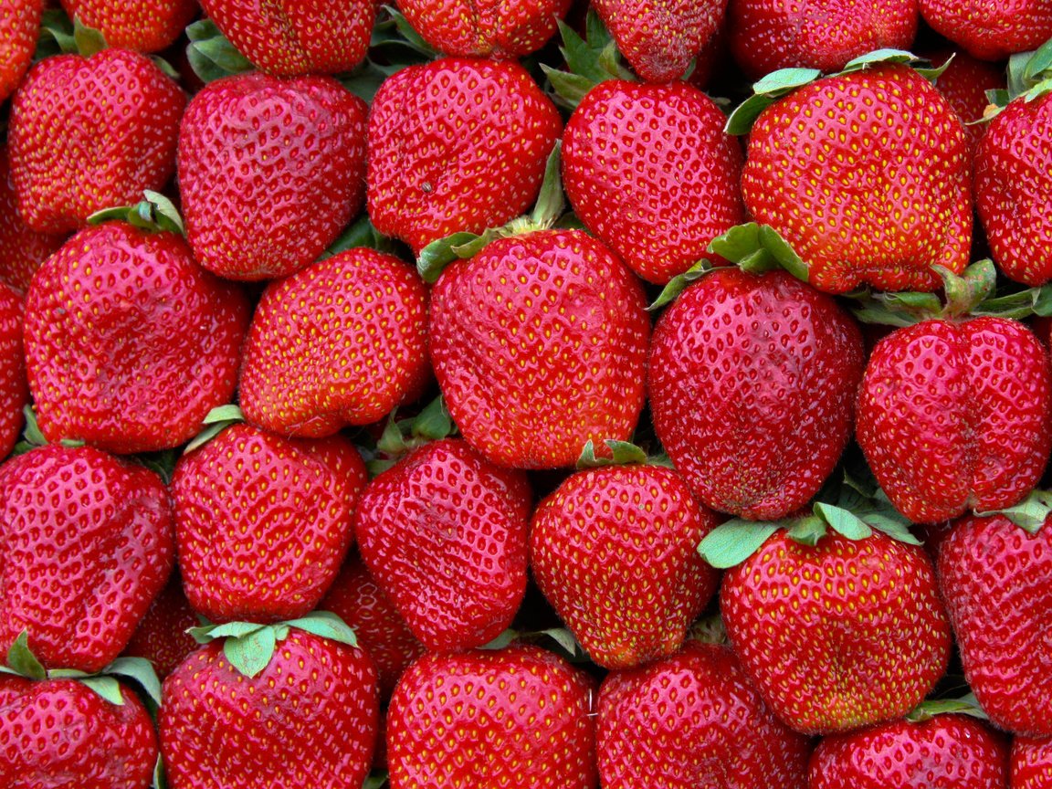 Обои узор, краcный, земляника, грин, pattern, red, strawberries, green разрешение 2880x1800 Загрузить