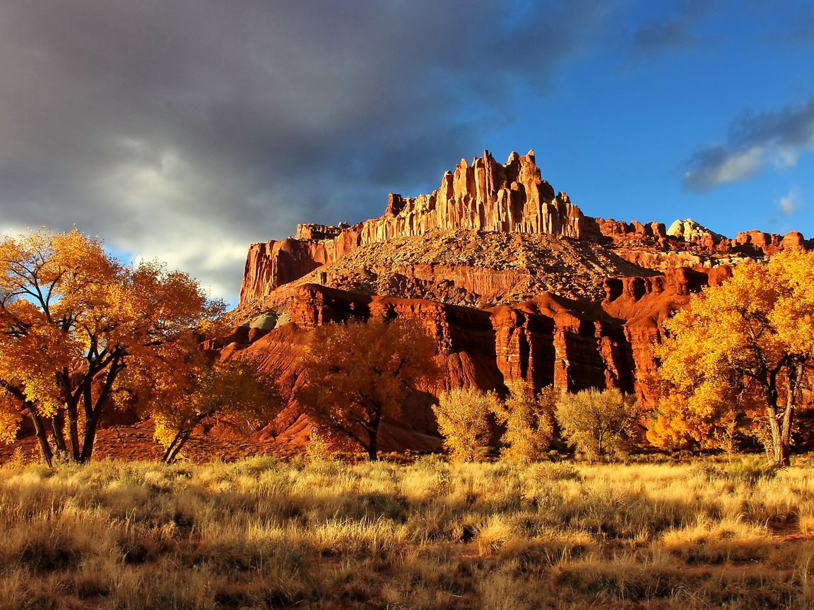 Обои скала, осень, каньон, сша, национальный парк, капитол-риф, capitol reef national park, осенний пейзаж, rock, autumn, canyon, usa, national park, capitol reef разрешение 2560x1600 Загрузить