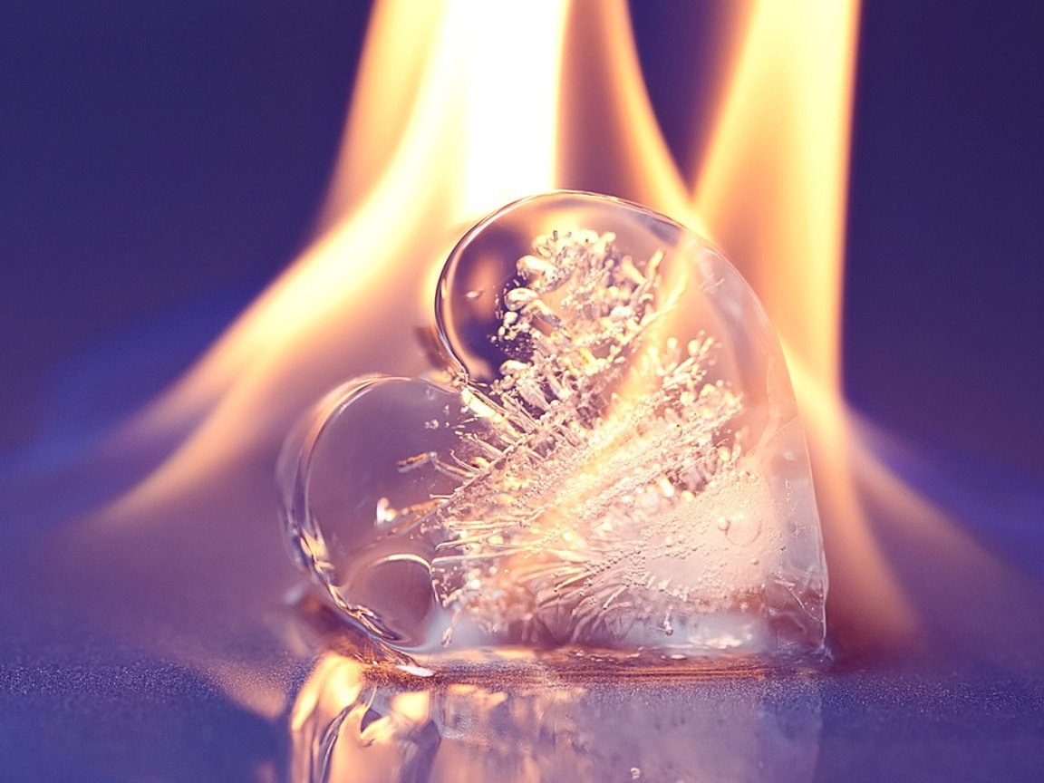 Обои горящее ледяное сердце, burning heart of ice разрешение 1920x1080 Загрузить