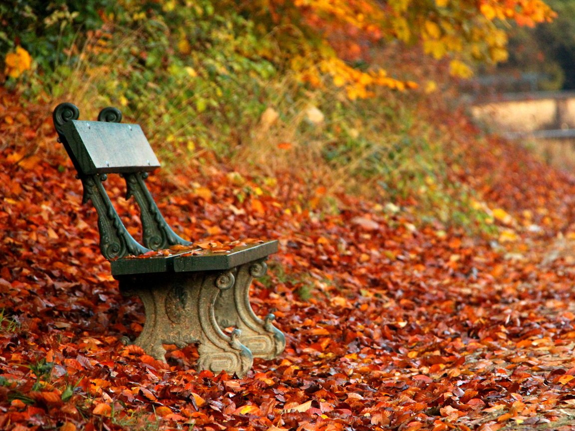 Обои парк, осень, скамейка, скамья, park, autumn, bench разрешение 4702x3242 Загрузить