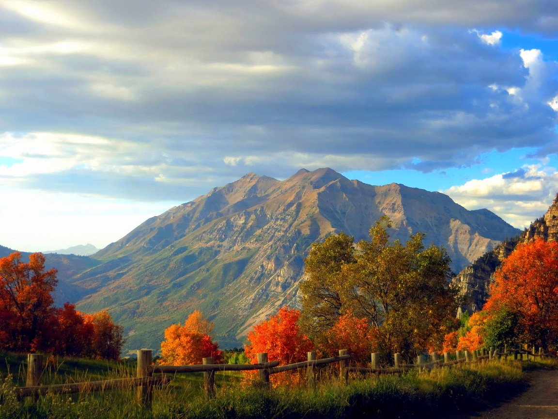 Обои деревья, горы, скалы, лес, осень, забор, trees, mountains, rocks, forest, autumn, the fence разрешение 4000x2822 Загрузить