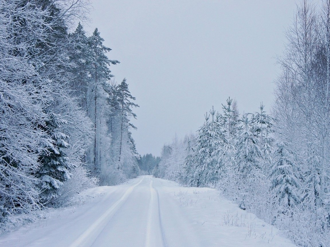 Обои дорога, деревья, зима, road, trees, winter разрешение 1920x1080 Загрузить