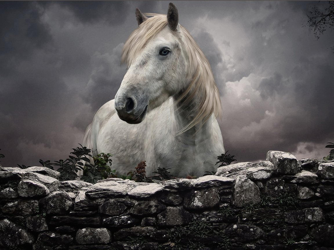 Обои небо, лошадь, забор, белый, каменный, конь, грива, the sky, horse, the fence, white, stone, mane разрешение 2048x1305 Загрузить