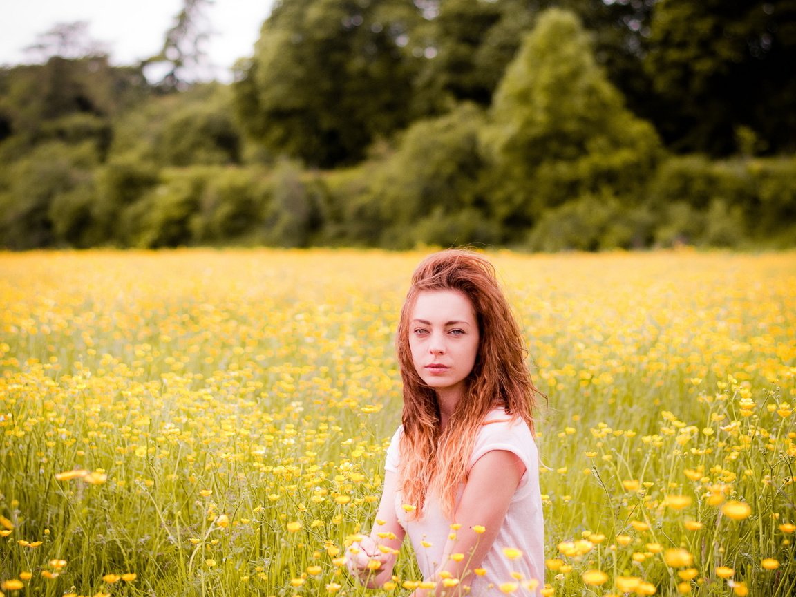 Обои цветы, девушка, поле, лето, flowers, girl, field, summer разрешение 2560x1600 Загрузить