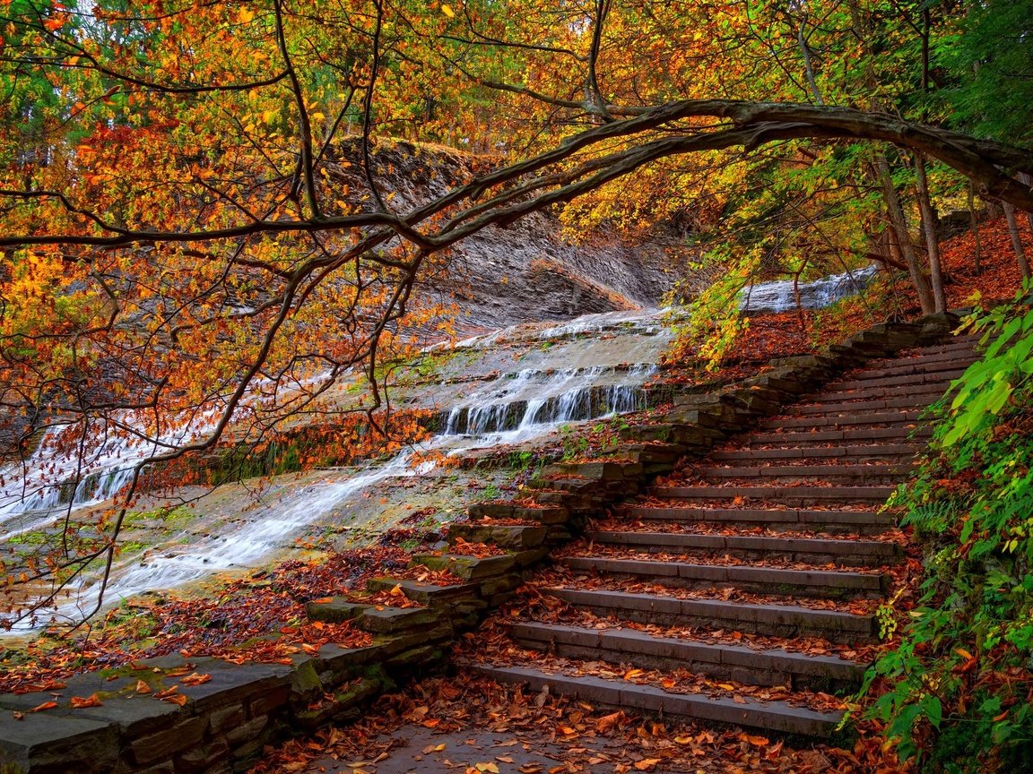 Обои деревья, вода, лестница, ступеньки, парк, листва, осень, поток, trees, water, ladder, steps, park, foliage, autumn, stream разрешение 2048x1367 Загрузить