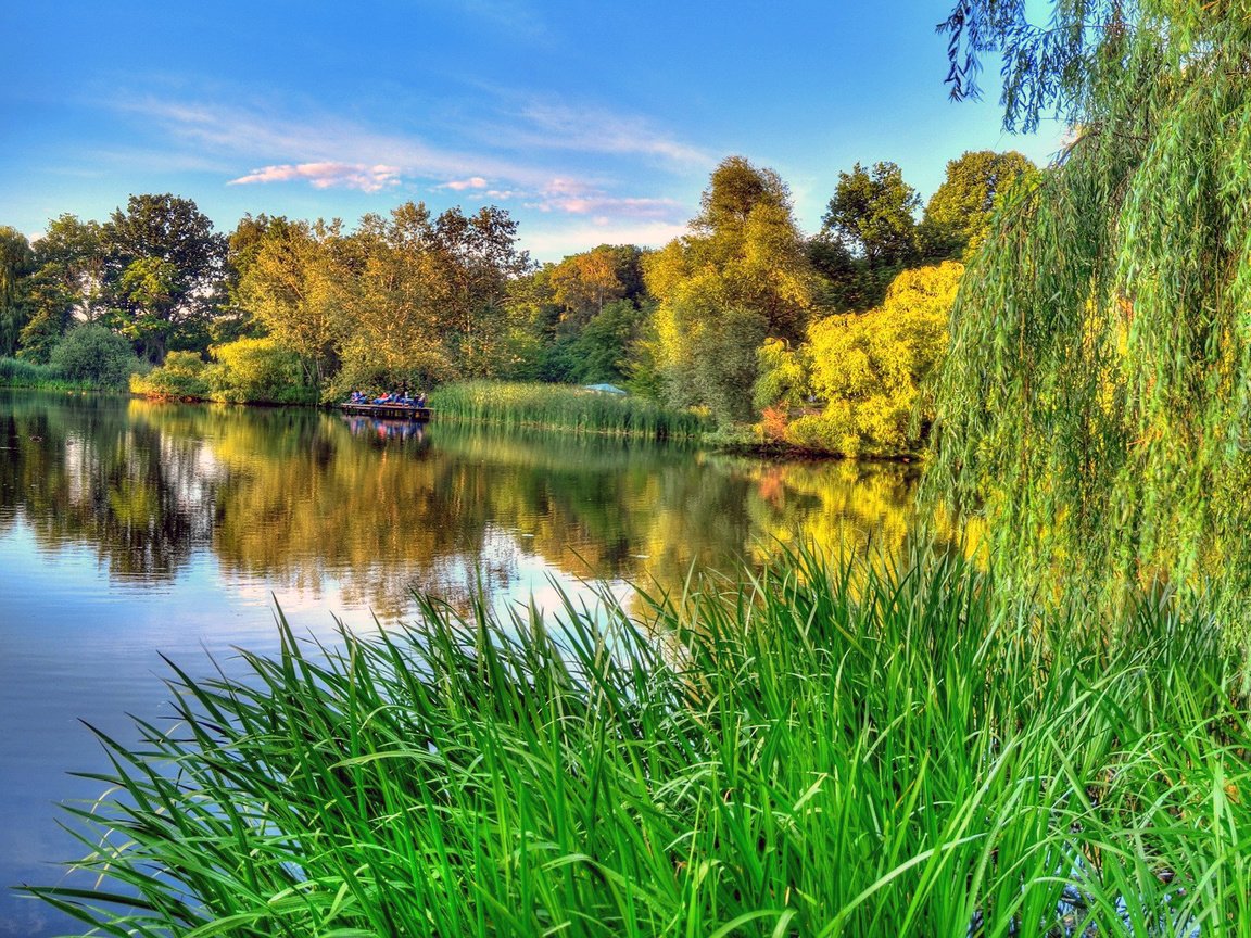 Обои небо, трава, деревья, озеро, зелень, отражение, ветки, осень, the sky, grass, trees, lake, greens, reflection, branches, autumn разрешение 1920x1080 Загрузить