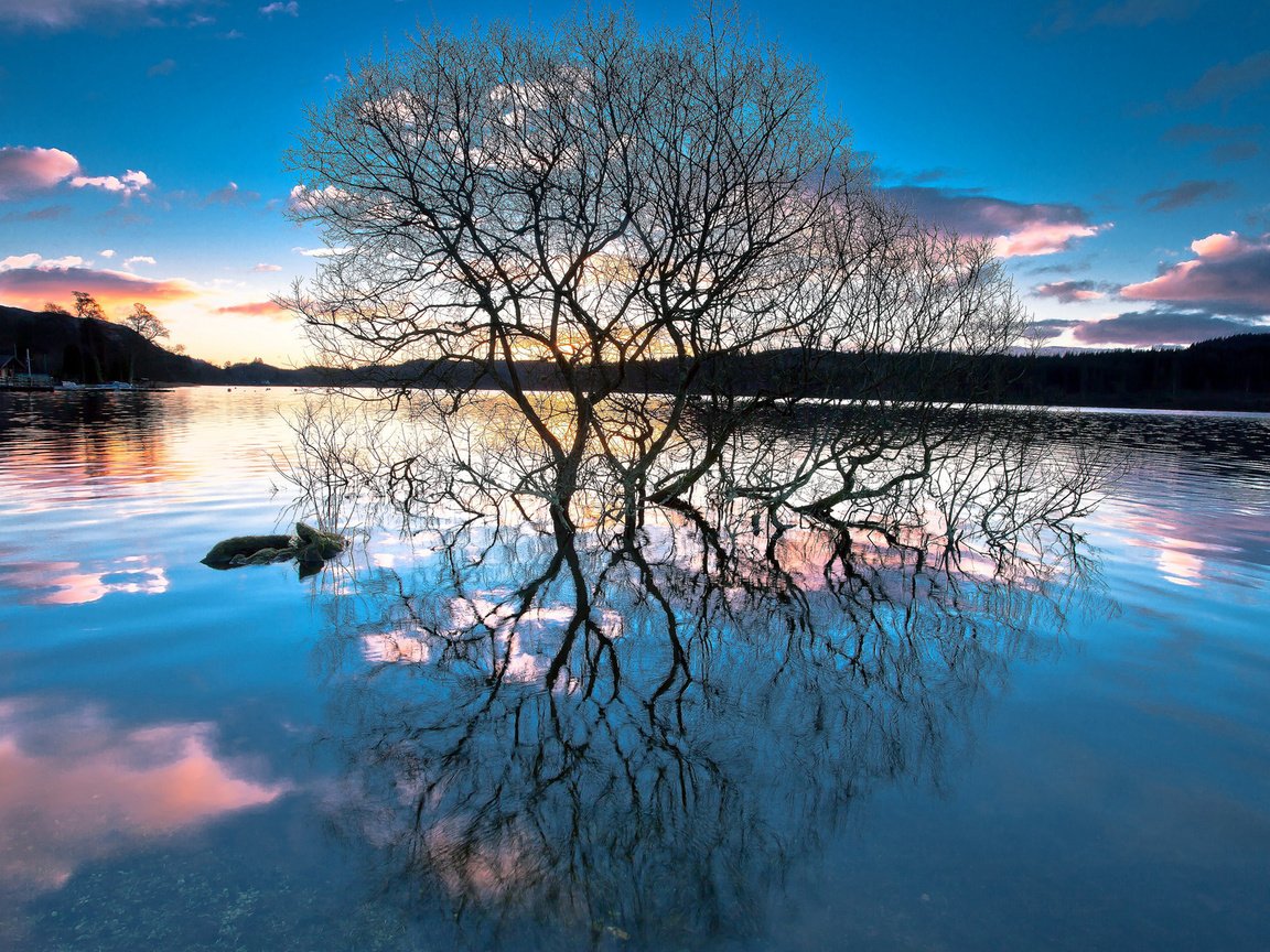 Обои деревья, озеро, лес, закат, отражение, trees, lake, forest, sunset, reflection разрешение 1920x1200 Загрузить