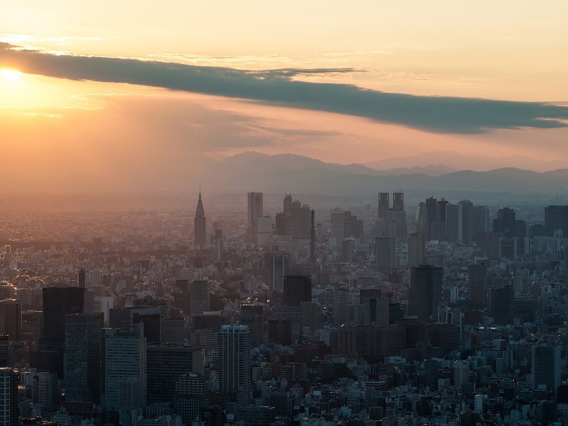 Обои солнце, закат, япония, небоскребы, здания, токио, shinjuku, tokyo skytree, the sun, sunset, japan, skyscrapers, building, tokyo разрешение 2048x1302 Загрузить