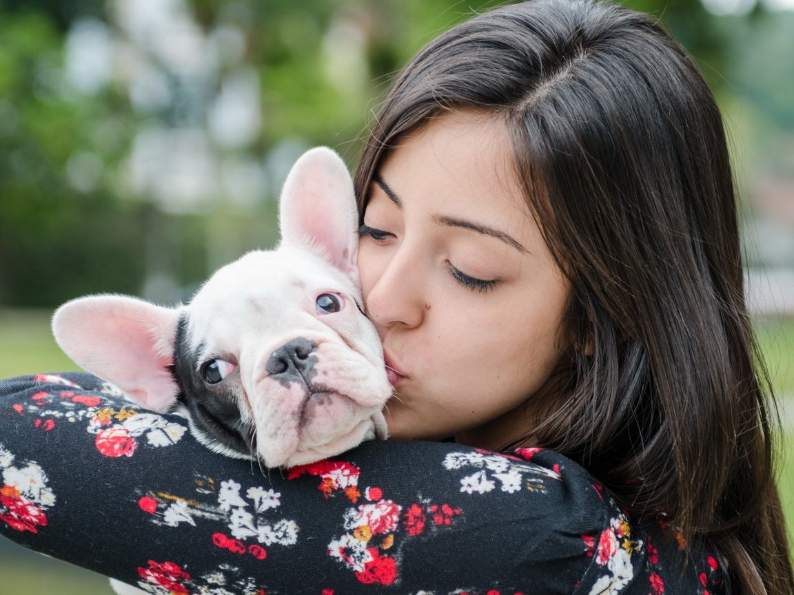 Обои девушка, собака, дружба, французский бульдог, girl, dog, friendship, french bulldog разрешение 2560x1600 Загрузить