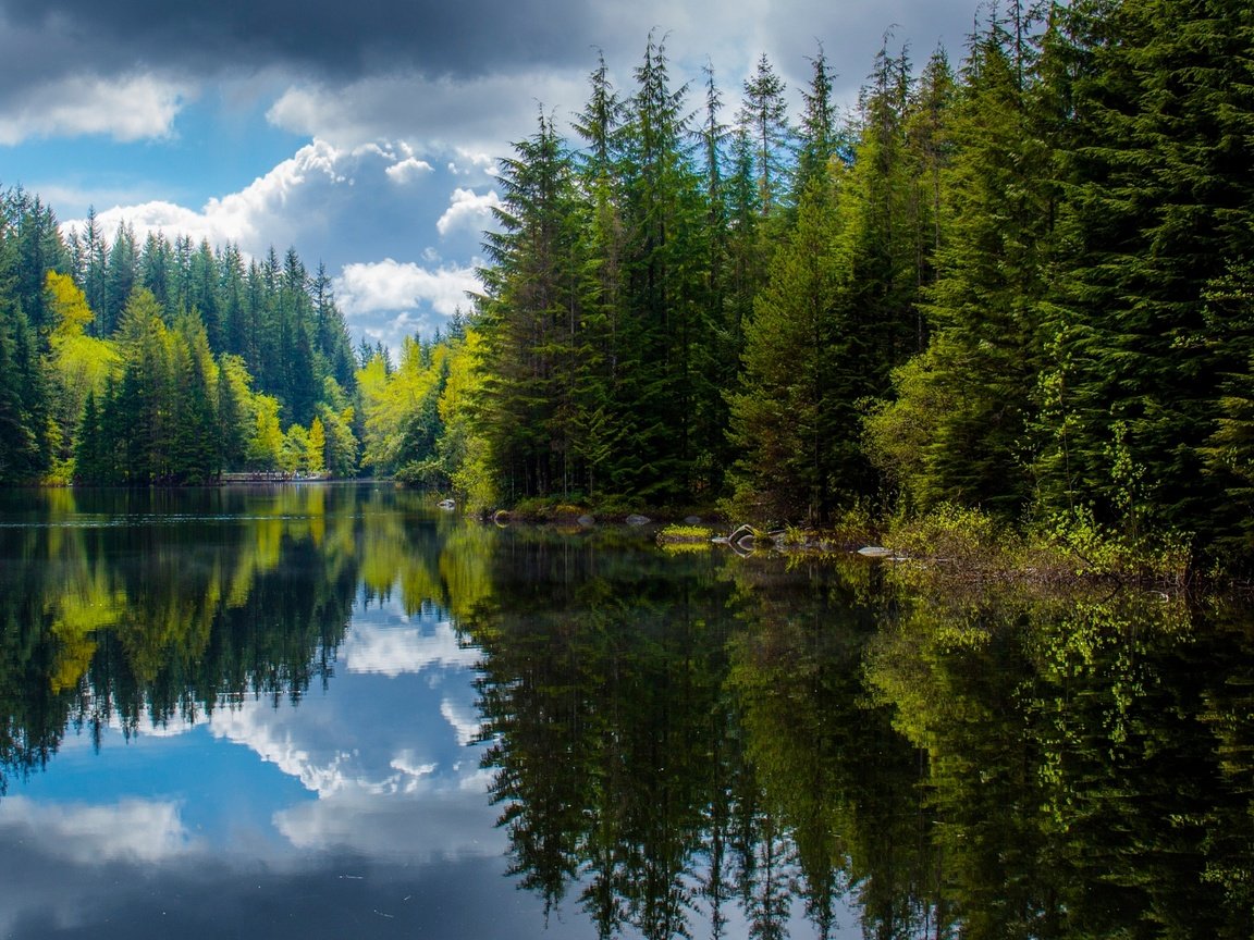 Обои озеро, лес, отражения, весна, канада, британская колумбия, lake, forest, reflection, spring, canada, british columbia разрешение 2048x1151 Загрузить