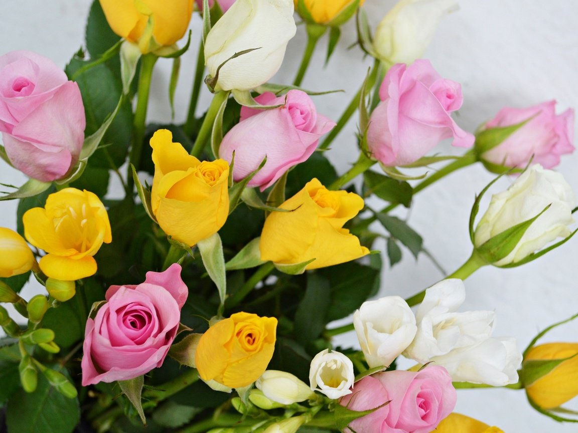 Обои цветы, розы, лепестки, бутон, букет, flowers, roses, petals, bud, bouquet разрешение 2048x1362 Загрузить
