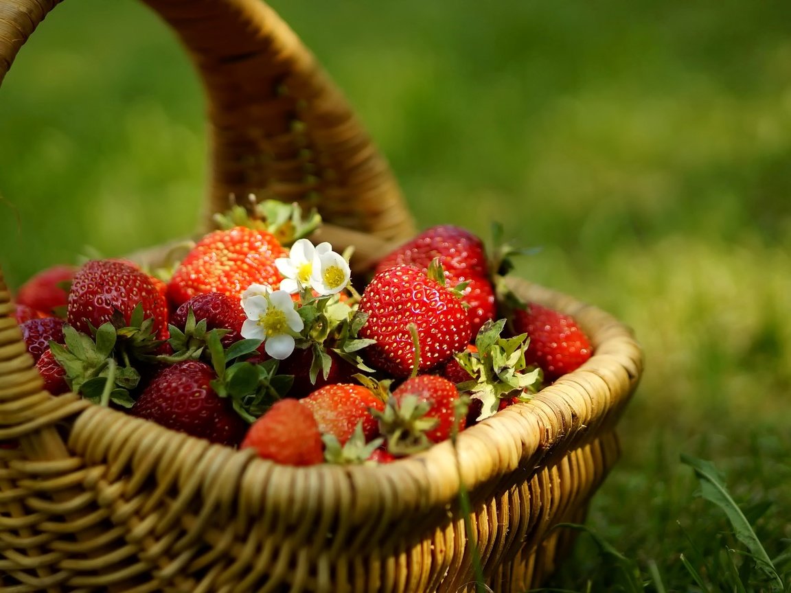 Обои цветы, трава, клубника, ягоды, корзинка, flowers, grass, strawberry, berries, basket разрешение 2048x1356 Загрузить