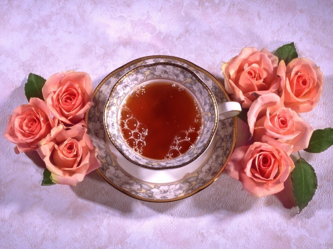 Обои цветы, розы, блюдце, чашка, чай, натюрморт, flowers, roses, saucer, cup, tea, still life разрешение 1920x1339 Загрузить