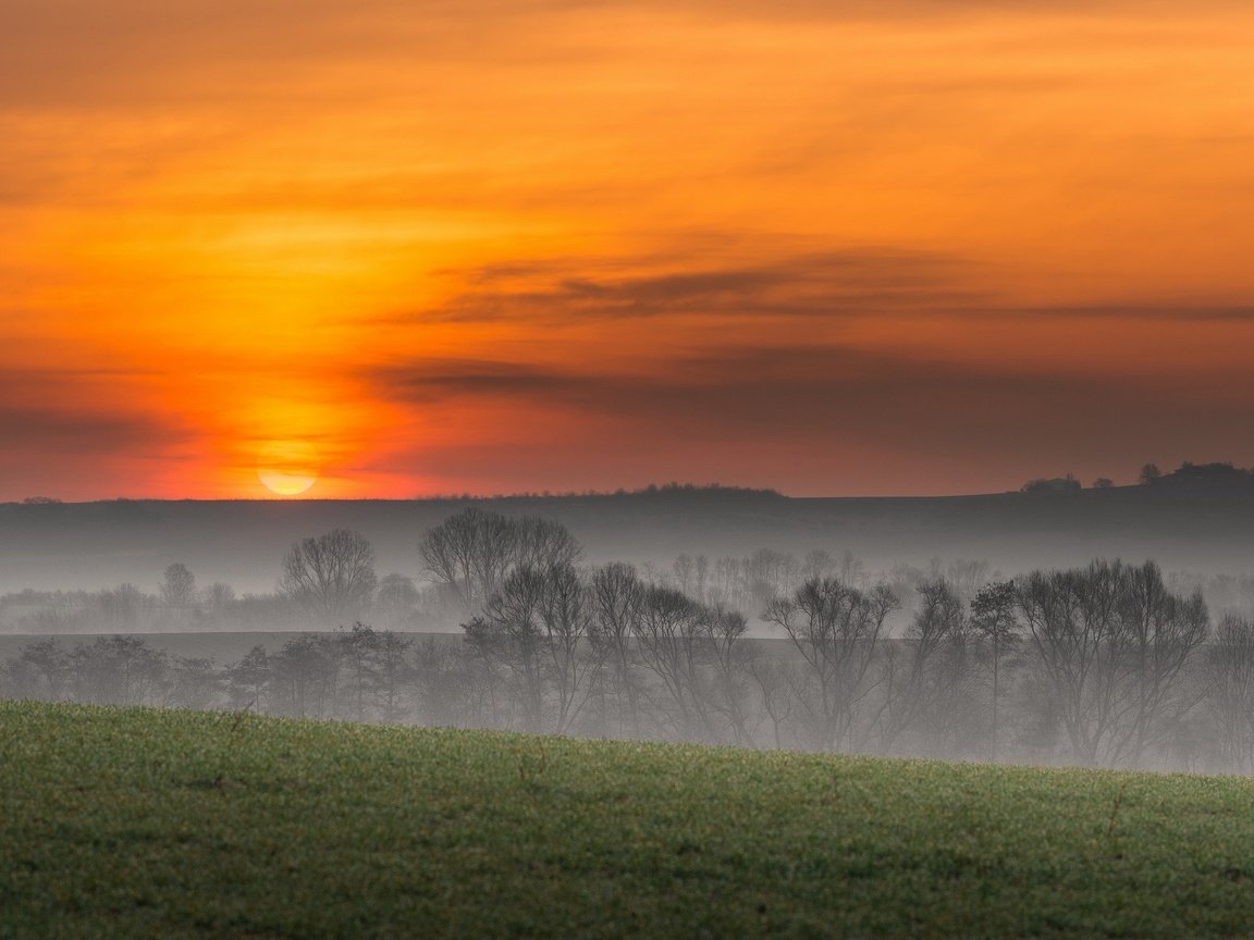 Обои небо, деревья, пейзаж, утро, туман, поле, the sky, trees, landscape, morning, fog, field разрешение 2776x1440 Загрузить