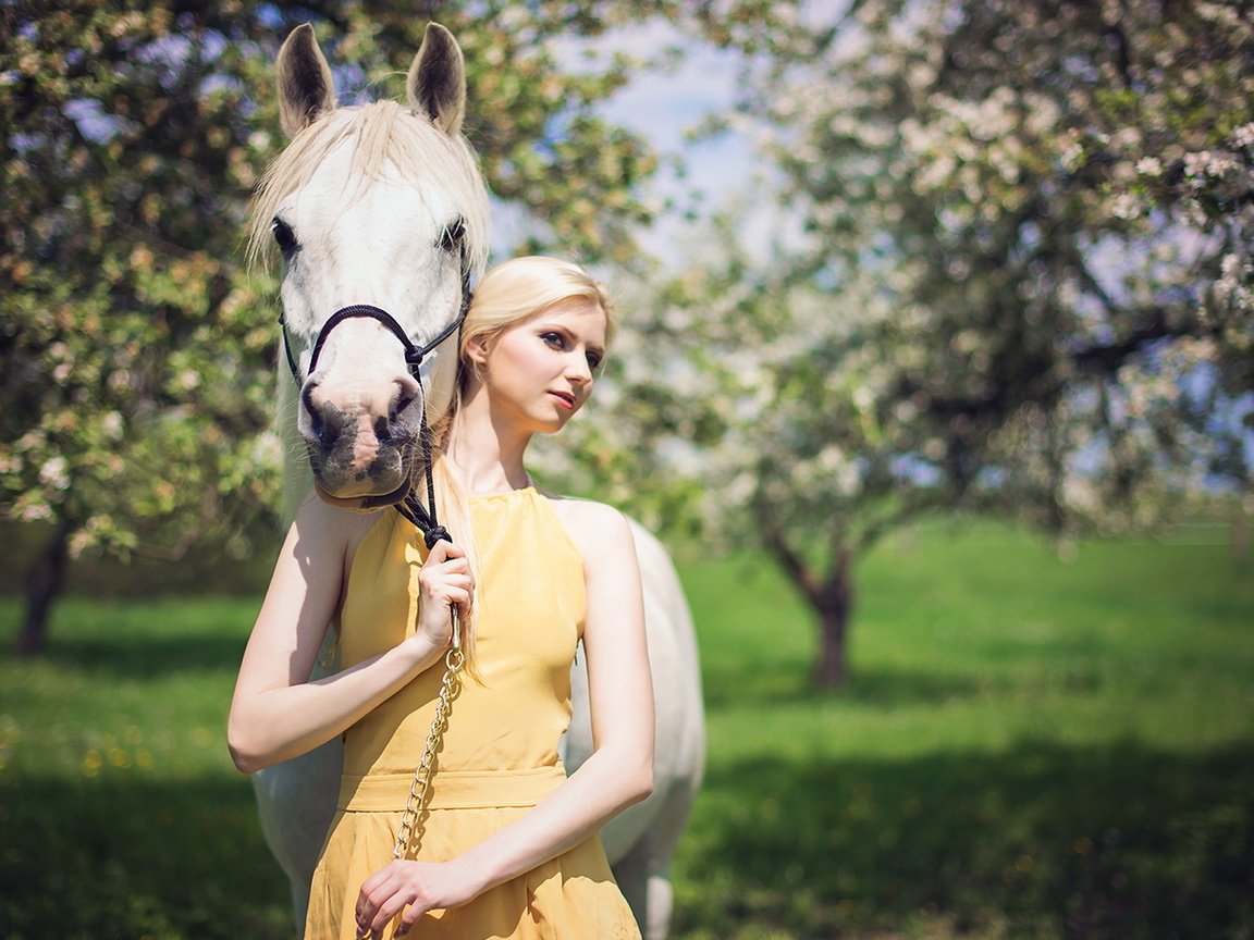 Обои лошадь, платье, блондинка, сад, horse, dress, blonde, garden разрешение 1920x1200 Загрузить