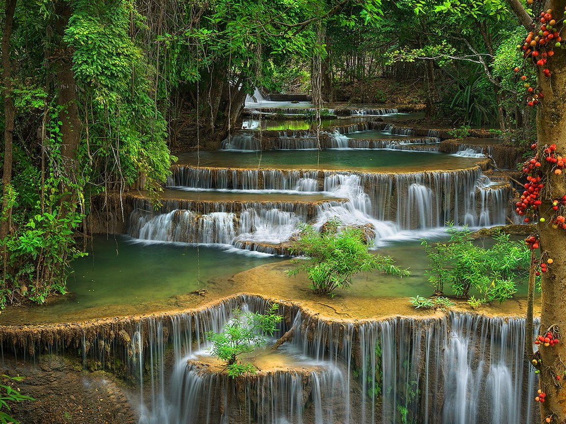 Обои зелень, лес, водопад, красота, поток, каскад, дремучий, greens, forest, waterfall, beauty, stream, cascade, dense разрешение 1920x1200 Загрузить