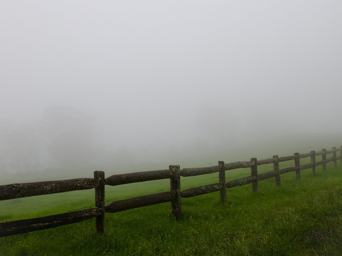 Обои трава, туман, поле, забор, ограждение, мгла, grass, fog, field, the fence, haze разрешение 2560x1600 Загрузить