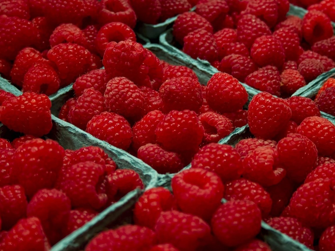 Обои макро, малина, ягоды, много, маалина, macro, raspberry, berries, a lot, malina разрешение 1920x1200 Загрузить