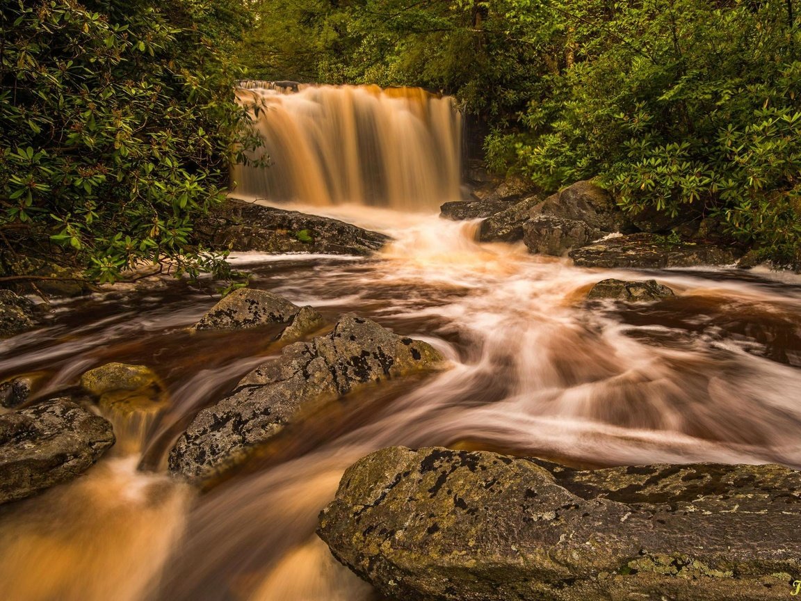 Обои деревья, река, природа, камни, скала, водопад, поток, trees, river, nature, stones, rock, waterfall, stream разрешение 2048x1365 Загрузить