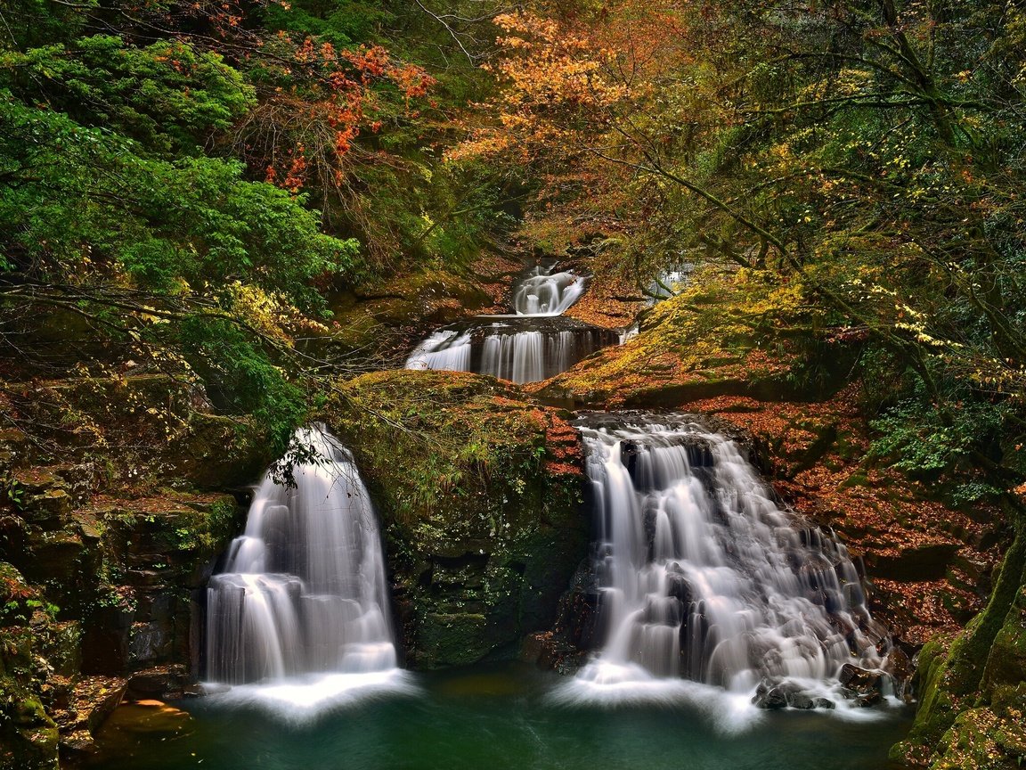 Обои деревья, лес, осень, япония, водопады, каскад, набари, trees, forest, autumn, japan, waterfalls, cascade, nabari разрешение 2400x1554 Загрузить