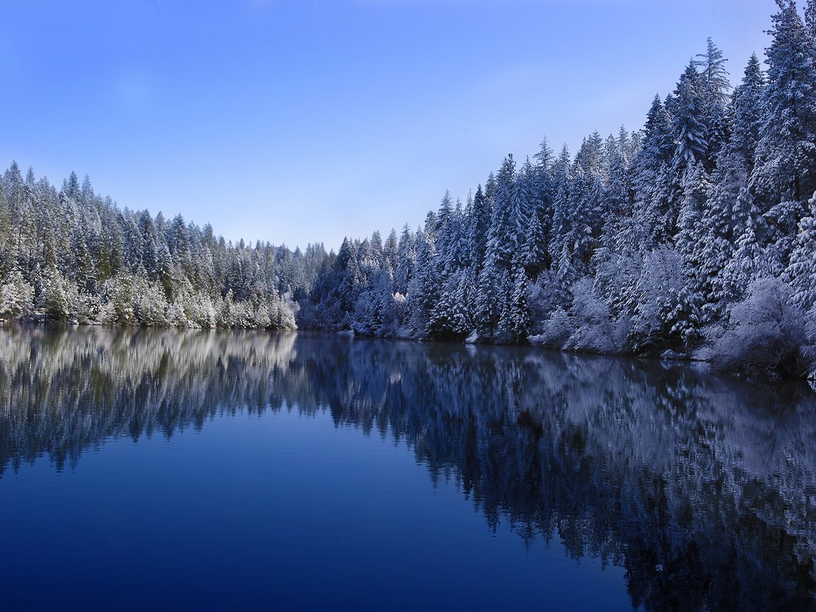 Обои небо, деревья, озеро, лес, зима, отражение, the sky, trees, lake, forest, winter, reflection разрешение 1920x1200 Загрузить