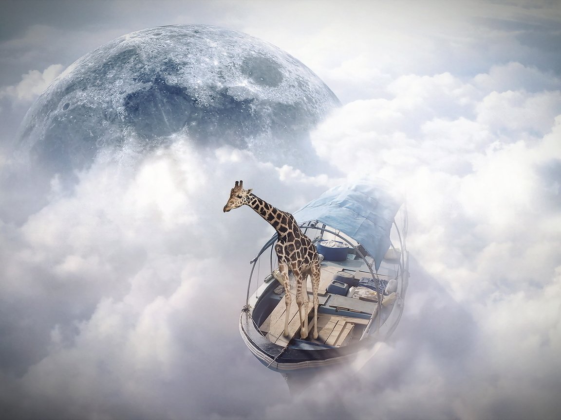 Обои жираф, finearts, небо моряк, фотоманипуляция, giraffe, sky sailor, photo manipulation разрешение 1920x1200 Загрузить