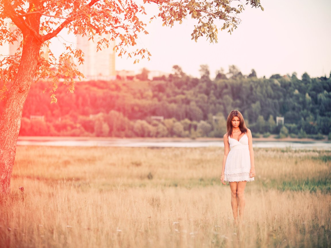 Обои природа, девушка, платье, поле, лето, nature, girl, dress, field, summer разрешение 4256x2832 Загрузить