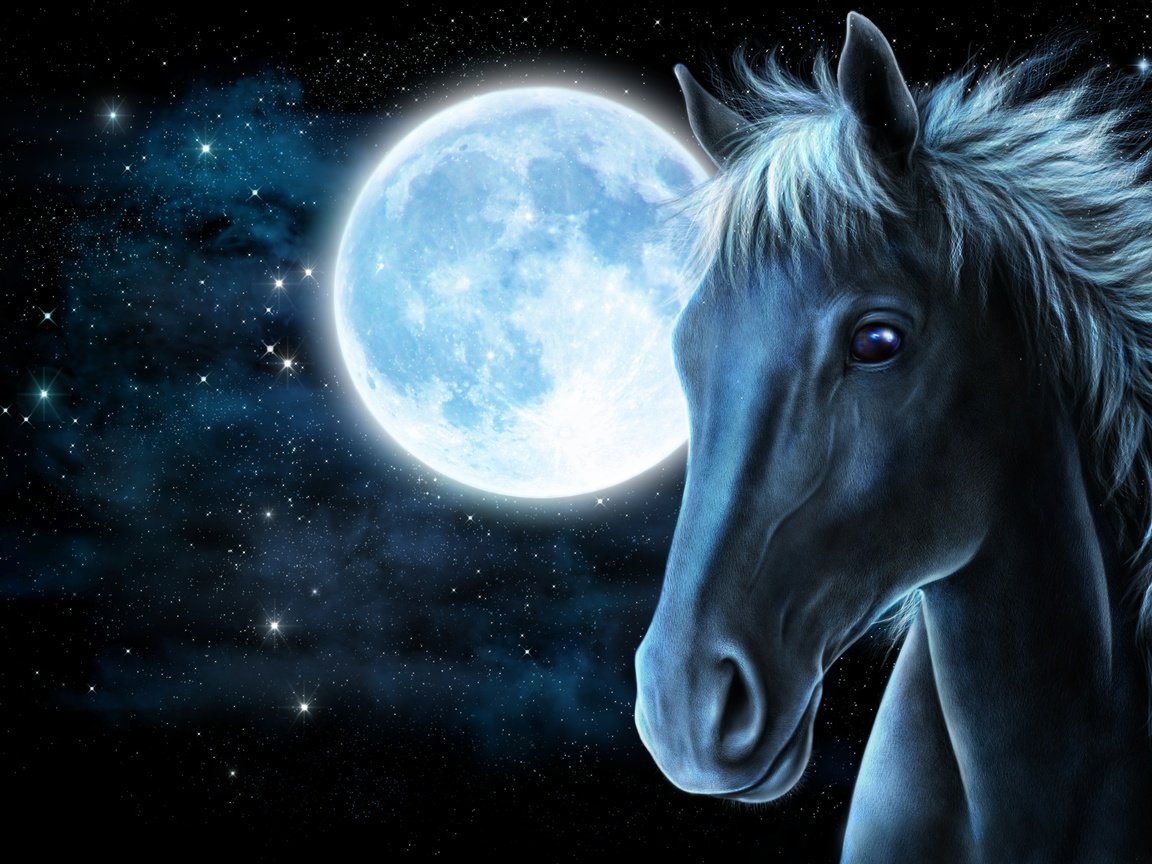 Обои конь, морда, свет, арт, лошадь, ночь, звезды, луна, рендеринг, face, light, art, horse, night, stars, the moon, rendering разрешение 3000x2000 Загрузить