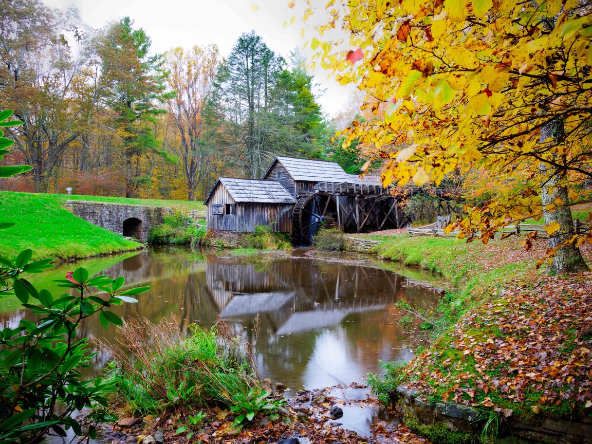 Обои деревья, река, пейзаж, осень, мельница, штат виргиния, mabry mill, trees, river, landscape, autumn, mill, virginia разрешение 2048x1366 Загрузить