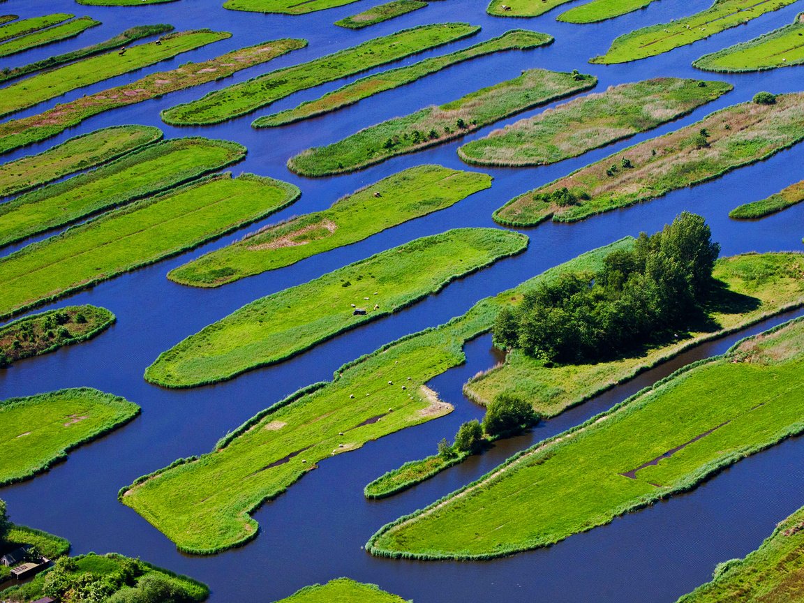 Обои трава, деревья, вода, остров, нидерланды, jisp, grass, trees, water, island, netherlands разрешение 1920x1200 Загрузить