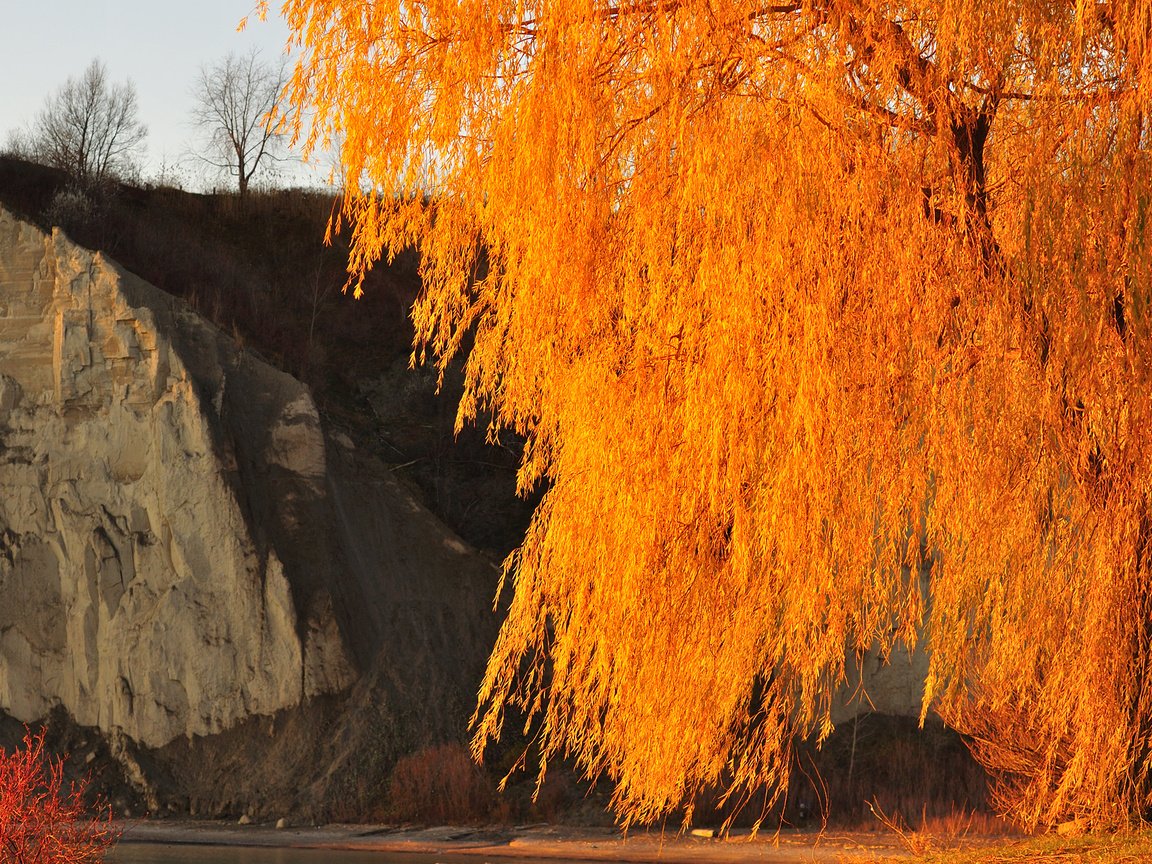 Обои небо, дерево, скала, осень, the sky, tree, rock, autumn разрешение 2048x1360 Загрузить