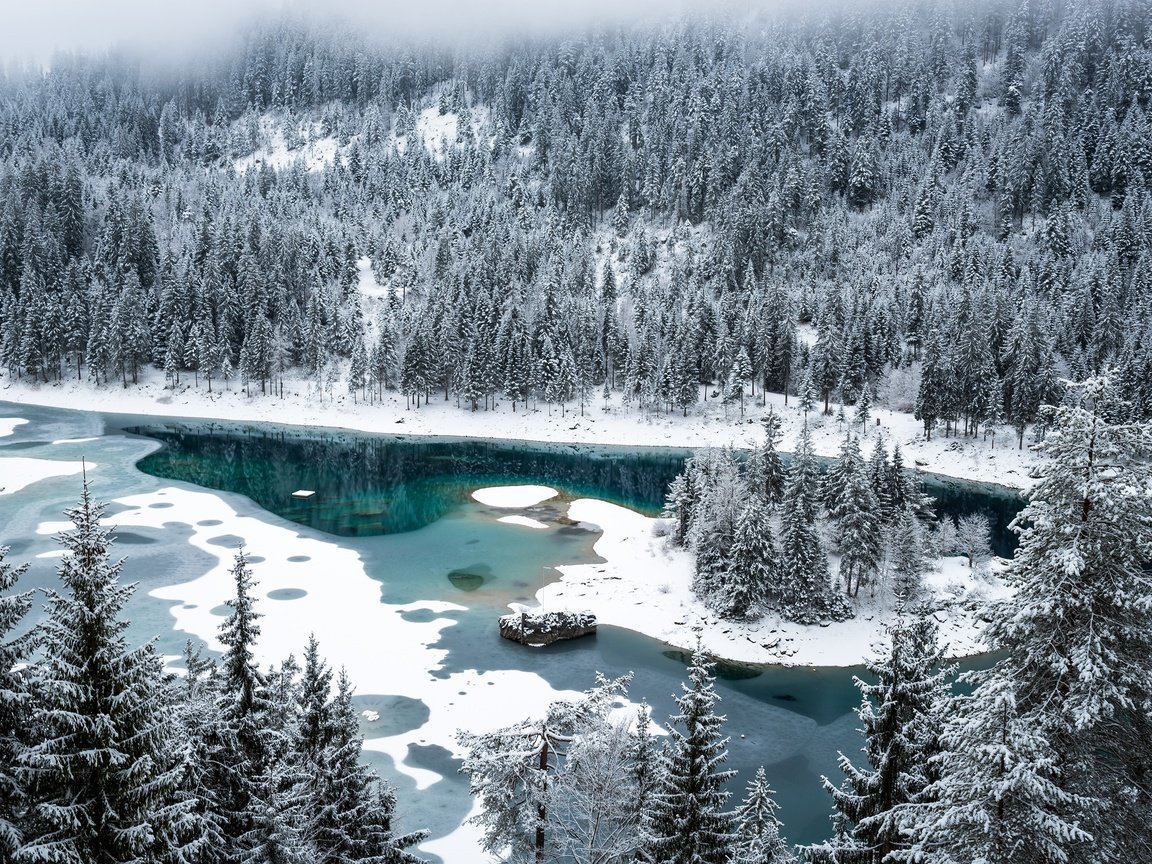 Обои снег, лес, зима, швейцария, озеро каума, флимс, snow, forest, winter, switzerland, lake cauma, flims разрешение 3000x2003 Загрузить